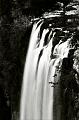 Waterfall, Springbrook 63470012